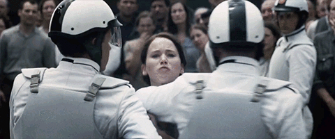 salva al gato katniss