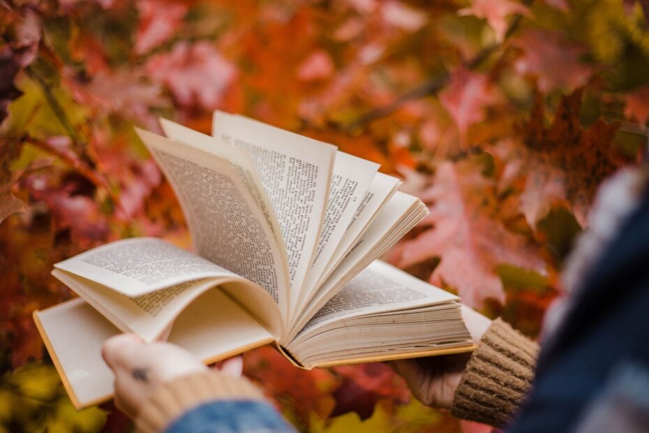 tipos de lectores